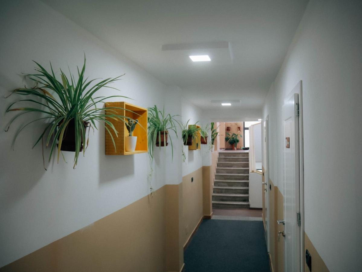 The Maze Hostel Tirana Zewnętrze zdjęcie